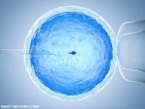 关于试管借卵代怀机构